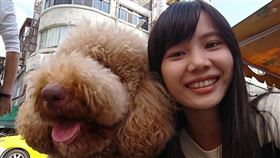 金融犯罪首席調查師陳梅慧在應訊後車禍身亡引爆陰謀論揣測。（圖／翻攝自陳梅慧臉書）