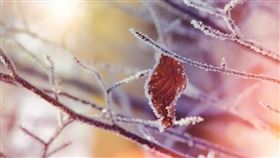 ▲（圖／翻攝自pixabay）