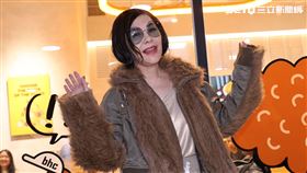 張清芳來看周杰倫開箱大巨蛋演唱會。（圖／記者鄭孟晃攝影）