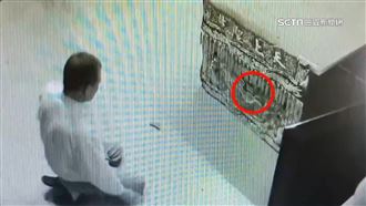 請示媽祖擲筊改參香　爐主擲出掛筊奇景