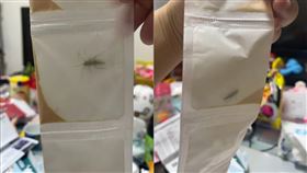 藥包裡有「活蟑螂」。（圖／翻攝自Dcard）