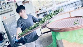 茶王鍾御瑋與父親共同經營的鐘文慶製茶廠已第二度獲得特等獎榮譽。（圖／新北市農業局提供）