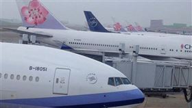 華航,康芮,颱風,下跪,地勤人員,黃瓊慧