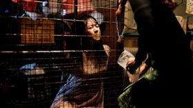 《鳳姐》麥語彤。（圖／后花園影像製作提供）