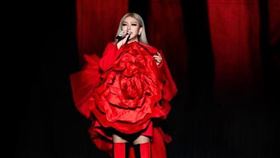 張惠妹大巨蛋嗨唱「三天三夜」遭到里民反彈。（圖／翻攝自微博）