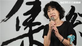 民眾黨挺柯文哲首場集會，陳佩琪上台。（圖／記者鄭孟晃攝影）