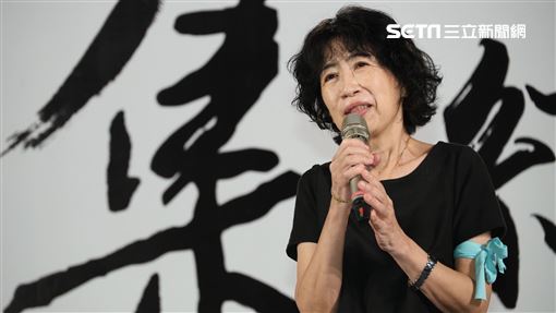刑訴法修法是柯文哲條款？陳佩琪凍未條了