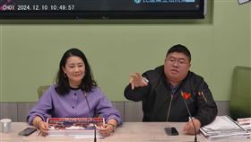 吳思瑤、蔡易餘談戒嚴法（圖／翻攝自民進黨立院黨團直播）