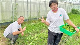 台南,蓮心園庇護工場,風災,蔬菜箱,饗賓餐旅集團