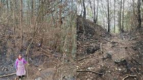 一名婦人為撿寶特瓶去賣錢，竟直接「放火燒山」遭逮。（圖／翻攝自澎湃新聞）