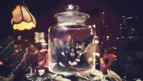 Phantom Siita將來台開唱。（圖／寬宏藝術提供）