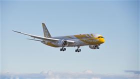 跳脫低成本航空機艙狹小的印象，酷航以廣體客機「波音 B787」夢幻客機執飛長途航線。（圖／酷航提供）