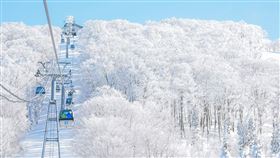 旅天下安排搭乘纜車，前往日本雪怪秘境「森吉山樹冰」，感受急凍絕景，趁雙12入袋超值價。（圖／秋田縣觀光聯盟）