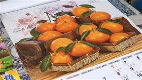 北市消防月曆遭拒領  民怨:過年配圖