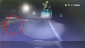 路邊野狗竄出! 婦人摔車倒地又遭追撞亡