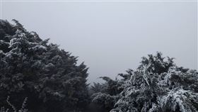 冷氣團來襲，玉山今晨出現霜與霧淞。（圖／氣象署提供）