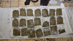 高材生學長弟相約種大麻！警抄2850萬毒品