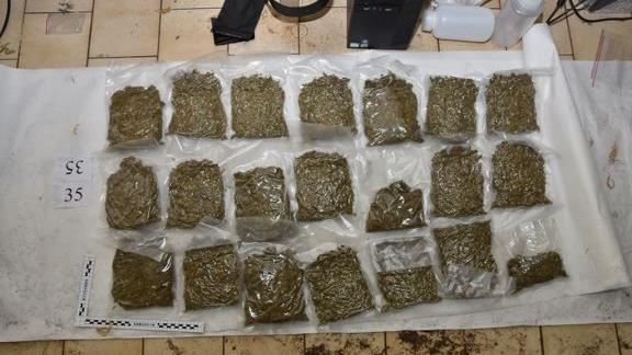 高材生學長弟相約種大麻！警抄2850萬毒品