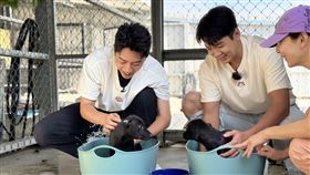 蔡凡熙（左）與禾浩辰為狗狗洗澡。（圖／快電商提供）