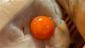 中國青島一名女子在吃海螺時吃到海螺珠。（圖／翻攝自網易新聞）