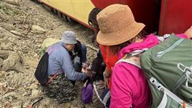 14日上午，阿里山小火車從嘉義開往阿里山的定期列車行經25公里330公尺處時，發現有民眾違規進入軌道區，雖列車緊急鳴笛示警、煞車，仍與1位拍照民眾發生擦撞。（圖／翻攝畫面）