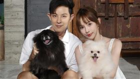 發發（右）和敖犬（左）飼養兩隻博美狗。（圖／翻攝自發發IG）