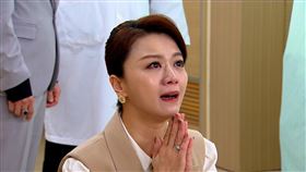 苗真。（圖／三立提供）