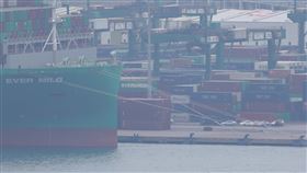 M1A2T抵台　台北港晚間起全碼頭保養（2）台灣向美國採購108輛M1A2T戰車，據傳載運首批M1A2T戰車的國籍航商貨輪，自美國西岸港口啟航後，已於15日凌晨進入台北港碼頭。台北港發出公告，15日晚間6時起至16日上午7時因港區設備保養，全碼頭與儲區機具皆「暫停作動」。中央社記者吳家昇攝　113年12月15日