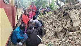 遊客闖阿里山鐵軌拍照阿里山火車14日發生遊客違規至軌道區域遭撞事故，阿里山林業鐵路及文化資產管理處15日表示，事故已涉及公共危險罪，將請執法單位確認違規遊客身分，並調查其違規事實送辦，同時也要對旅行社究責。（阿里山林業鐵路及文化資產管理處提供）中央社記者姜宜菁傳真  113年12月15日