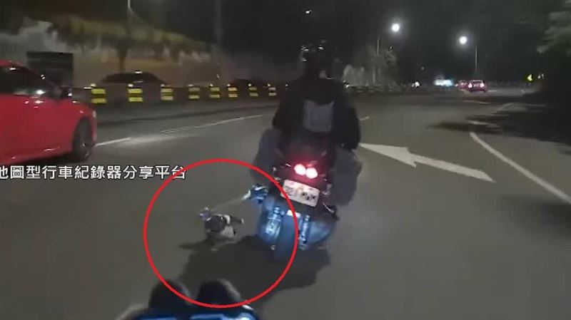 機車過彎「狗狗慘摔路中」　騎士看傻狂叭