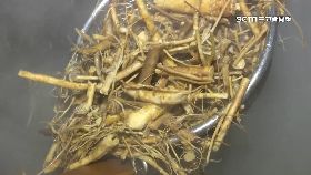 L狗尾草缺貨1800