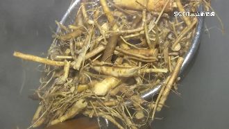 獨／饕客吃嘸狗尾雞　「台產」狗尾草缺貨