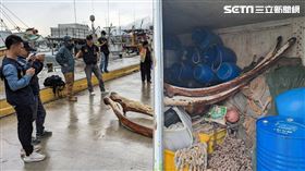 大村鯨的下顎骨長度約274公分，被藏在貨櫃中。（圖／翻攝畫面）