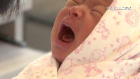 L龍寶低虎年1200