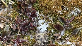 今日玉山飄初雪。（圖／氣象署提供）