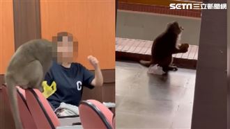 課上一半「獼猴搶食」　站走廊直接開吃