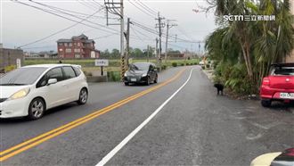 宜蘭冬山超窄汽機車道　駕駛：隨便都違規