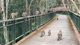 猴攻日月.潭2300