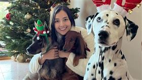 謝嘉怡。（圖／翻攝自IG）