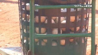 少棒狼師性侵逾80人　中市府無人受罰挨轟