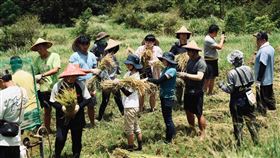 福容大飯店福隆貢寮水梯田認田計畫。（圖／福容大飯店提供）