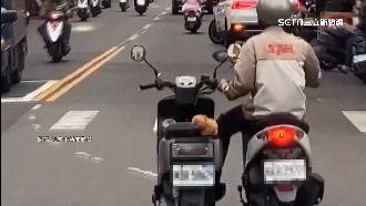 偷懶「1人騎2車」慘摔　車主控車行沒告知