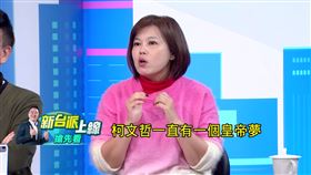 游淑慧分析，柯文哲20億KPI已達標一半。（圖／翻攝新台派上線）
