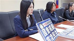 吳沛憶：我們這個世代絕不允許國民黨再破壞台灣民主。（圖／翻攝自吳沛憶臉書）