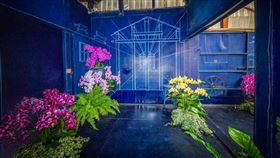 週末飄雪氛圍感爆棚！台南耶誕小鎮　不用出國也能過浪漫冬日！（圖／翻攝自臉書黃偉哲
）