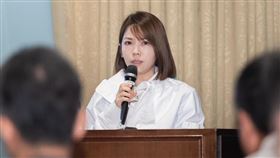 陳智菡今（18）天回應，木可小物是販售行為，非政治獻金，她不接受檢調恐嚇。（圖／翻攝自陳智菡臉書）
