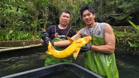 大安溪畔果香飄，客家風情等你來體驗（業配勿用）