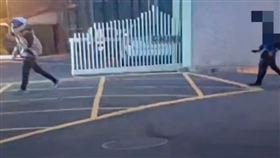 文化大學喋血案，醒吾科大男持菜刀追砍劉姓男大生。（圖／翻攝畫面）