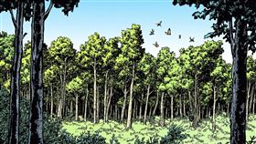 Eden與Compassionate Carbon啟動聯合計劃　提升碳信用與社會效益（圖／永續新聞網）