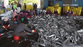 搶賺烏金財! 取卵工人平均70歲 月賺逾4萬